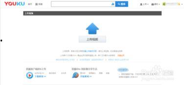 上传视频的网站,视频内容概览与亮点解析
